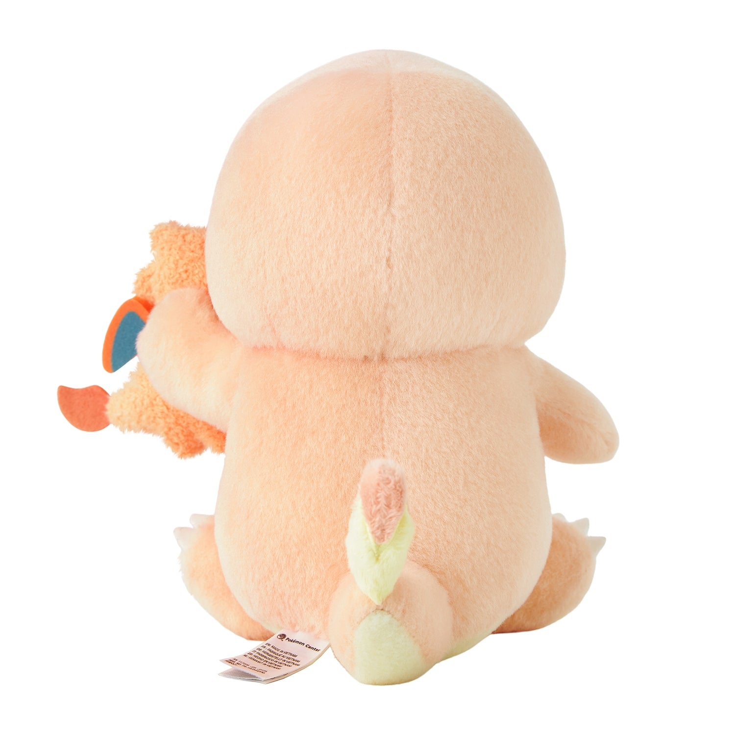 Charmander & Charizard | LITTLE DAYDREAM