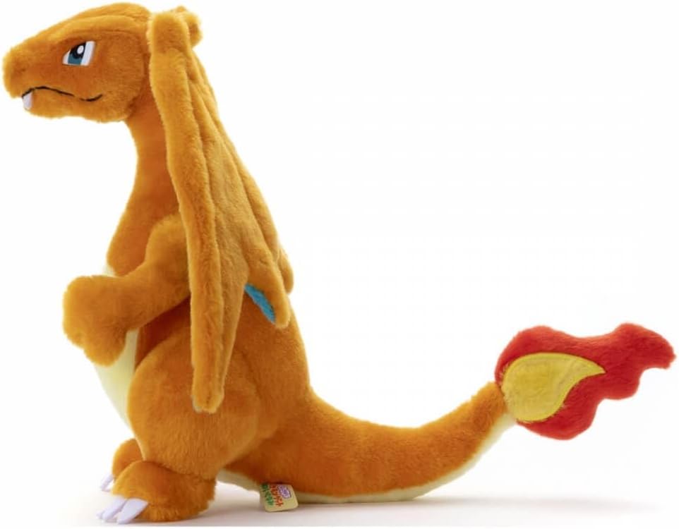 Charizard KIMINIKIMETA!