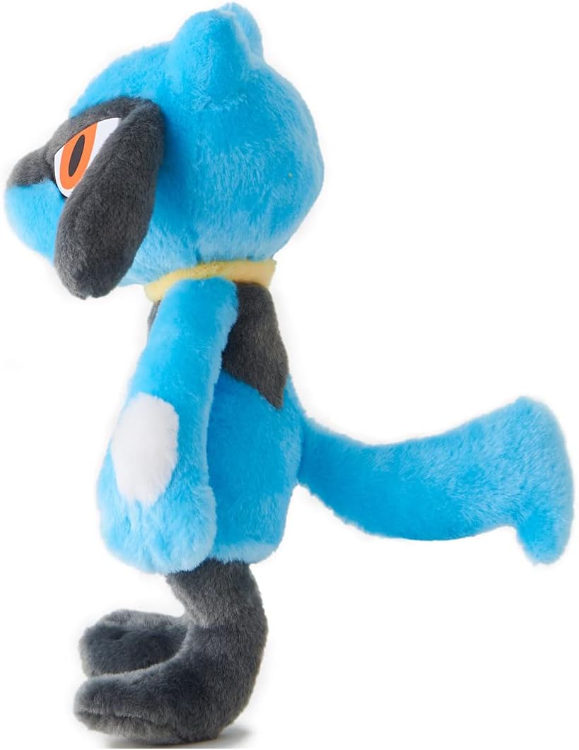 Riolu | KIMINIKIMETA!