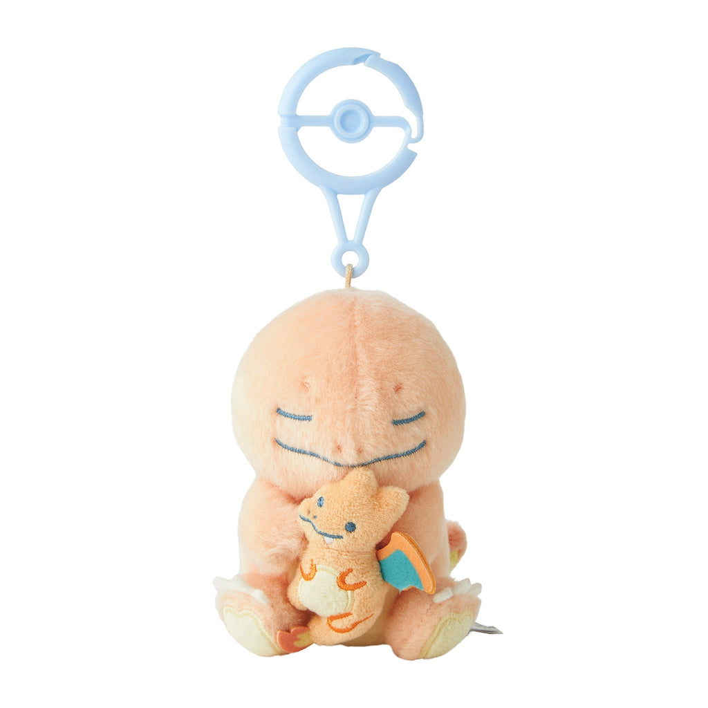 Charmander & Charizard | LITTLE DAYDREAMS