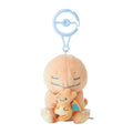 Charmander & Charizard | LITTLE DAYDREAMS