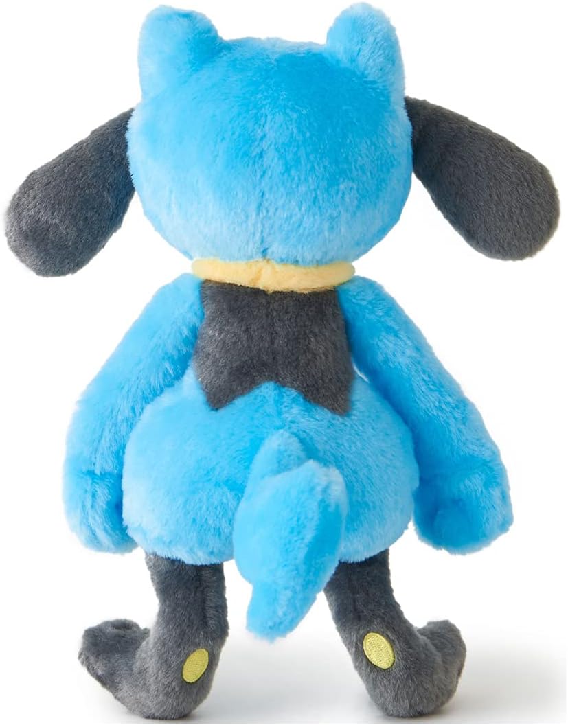Riolu | KIMINIKIMETA!