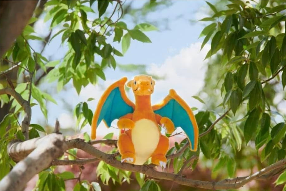 Charizard KIMINIKIMETA!