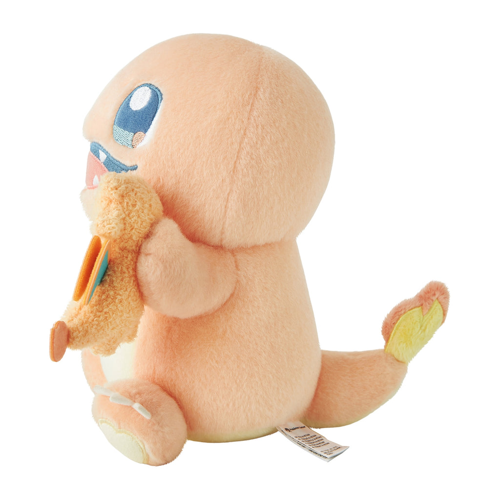 Charmander & Charizard | LITTLE DAYDREAM