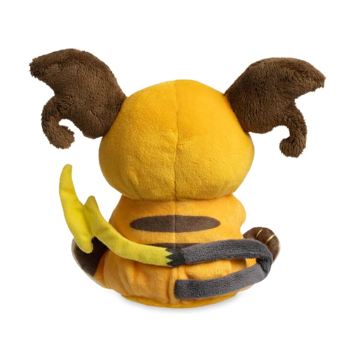Raichu Fit