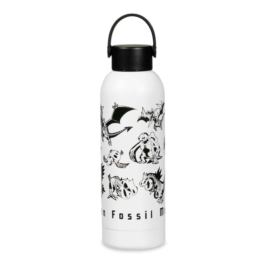 Botella | FOSSIL MUSEUM