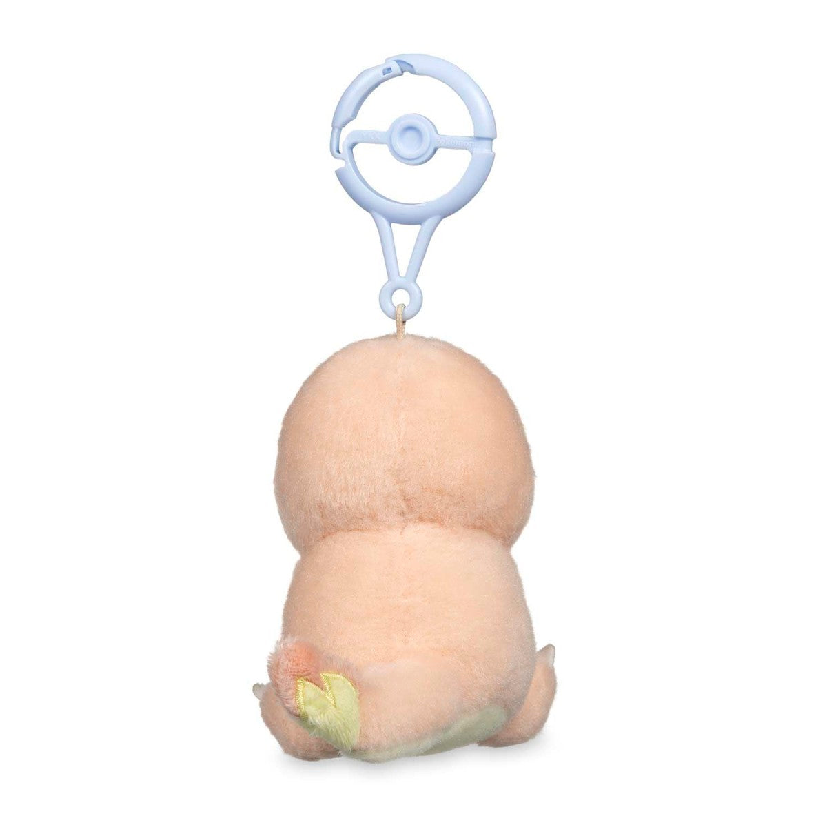 Charmander & Charizard | LITTLE DAYDREAMS
