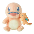 Charmander & Charizard | LITTLE DAYDREAM