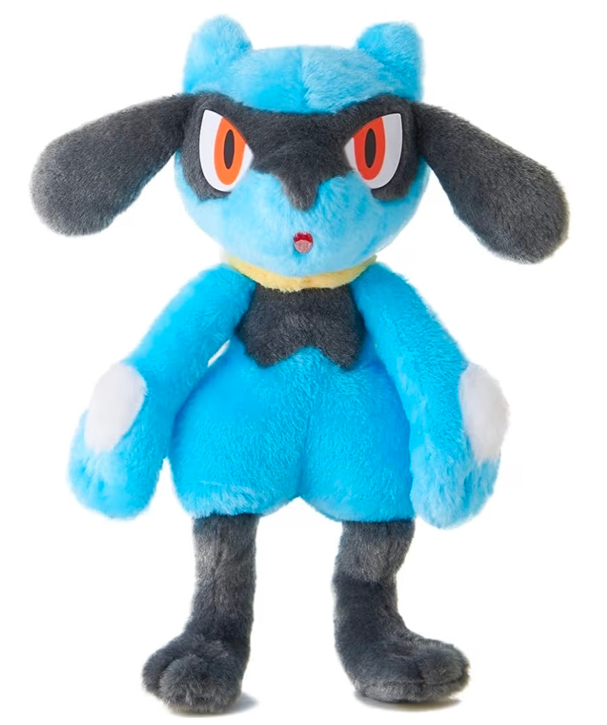 Riolu | KIMINIKIMETA!